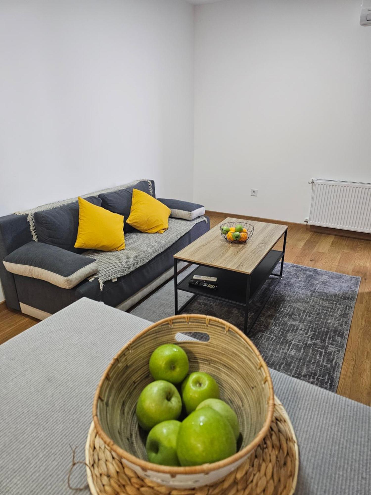 Center Apartment Novi Sad